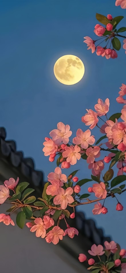 Pink Apple Blossoms Under A Yellow Full Moon 4K Wallpaper