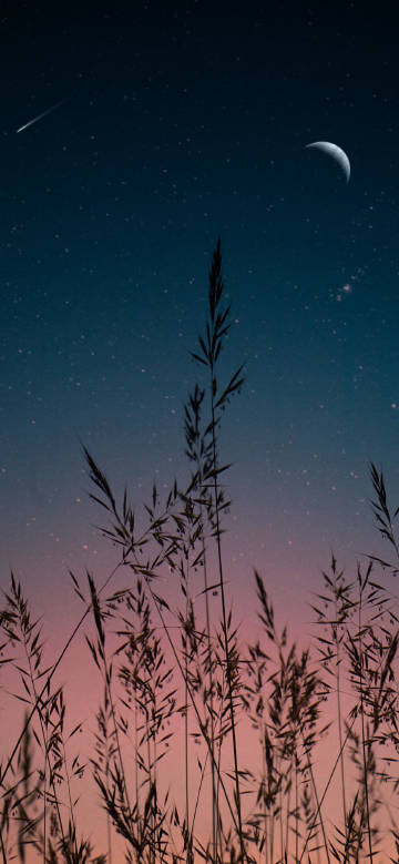 Fantasy night sky grass shadow wallpaper