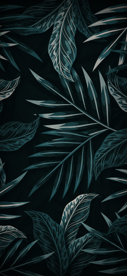 Textured clear leaves on dark green background