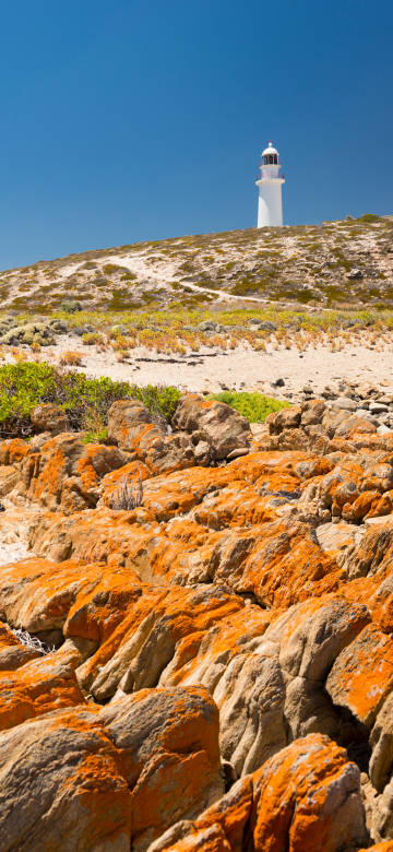 Coastal landscape wallpaper: rocks, beach vegetation, hilltop lighthouse with blue sky