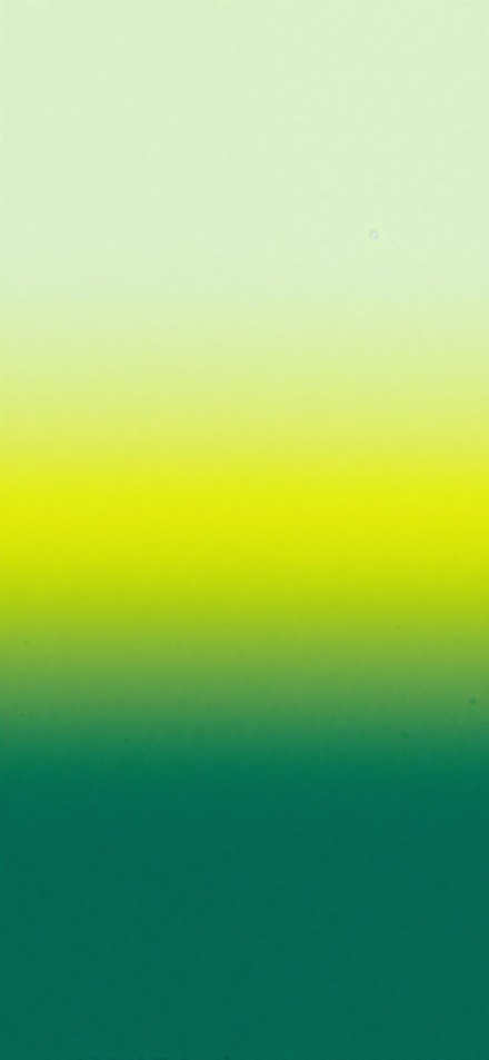 Fresh green gradient phone wallpaper