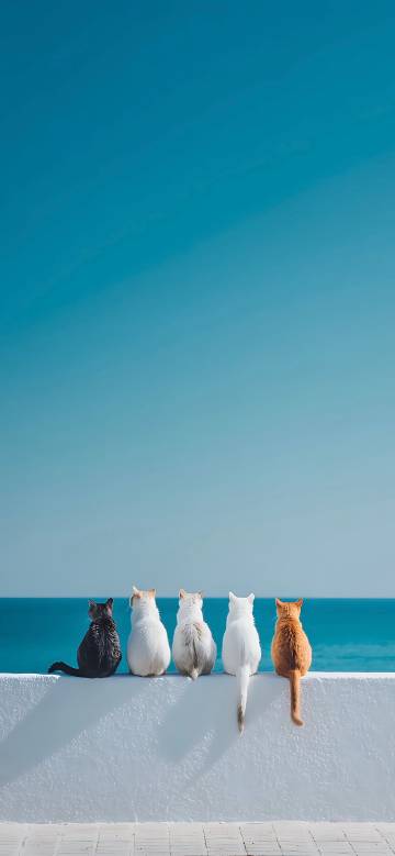 Latest Wallpaper 1
