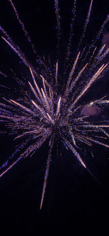 Gorgeous fireworks blooming phone wallpaper