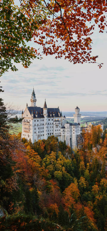 Beauty of neuschwanstein castle in autumn phone wallpaper
