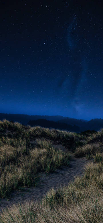 Tranquil natural night view of the meadow under the stars
