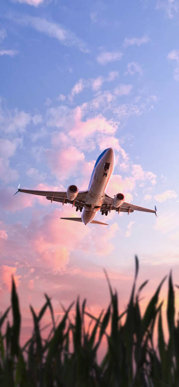 Airplane in pink and blue sky phone wallpaper
