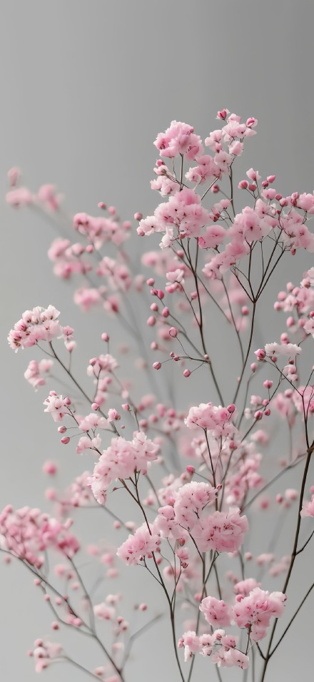 Elegant Pink Floral Depth Effect 4K Wallpaper