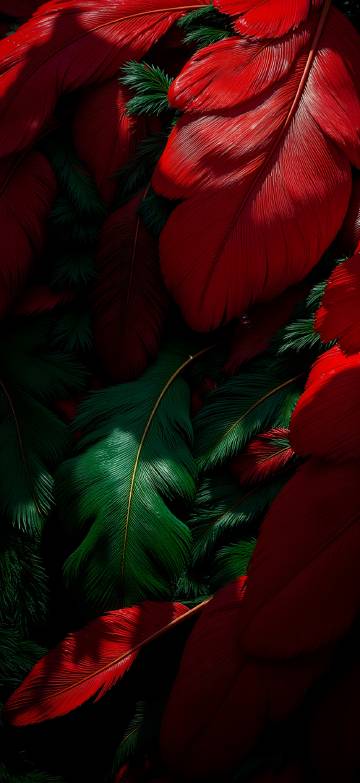 Dark Red And Green Feathers 4K Phone Wallpaper