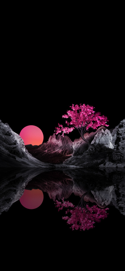 Pink Cherry Blossom Tree and Pink Moon Reflection 4K