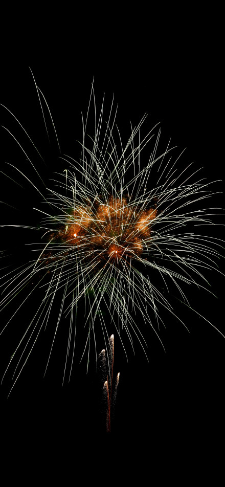 The moment when fireworks bloom phone wallpaper