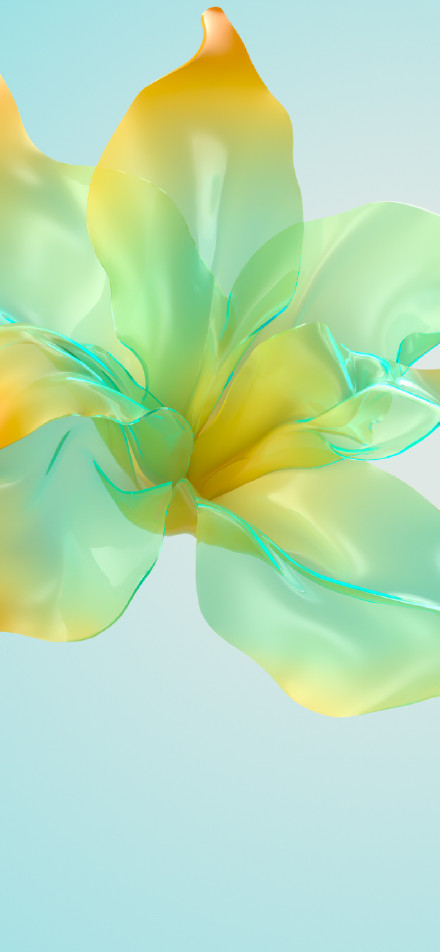 Fresh transparent orange green petal flowers phone wallpaper