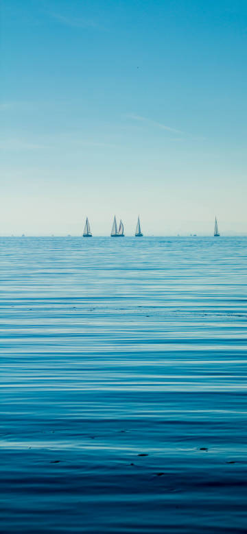 Sailboat on the tranquil sea phone wallpaper
