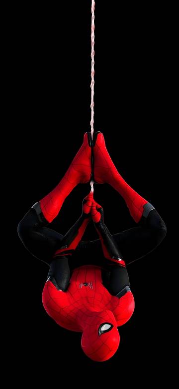 Spider-Man Red and Black Suit Upside Down 4K
