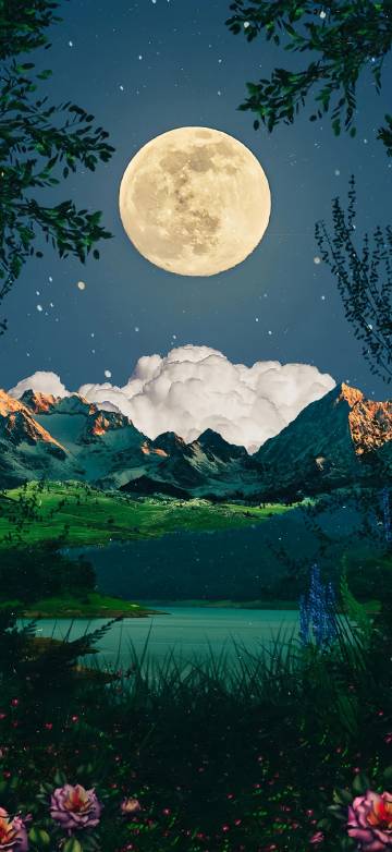 Latest Wallpaper 1