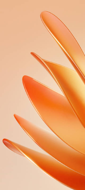 Soft Orange Abstract Petals Wallpaper Soft Orange Abstract Petals Wallpaper