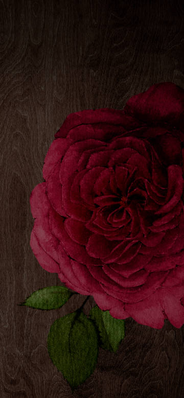 Latest Wallpaper 1