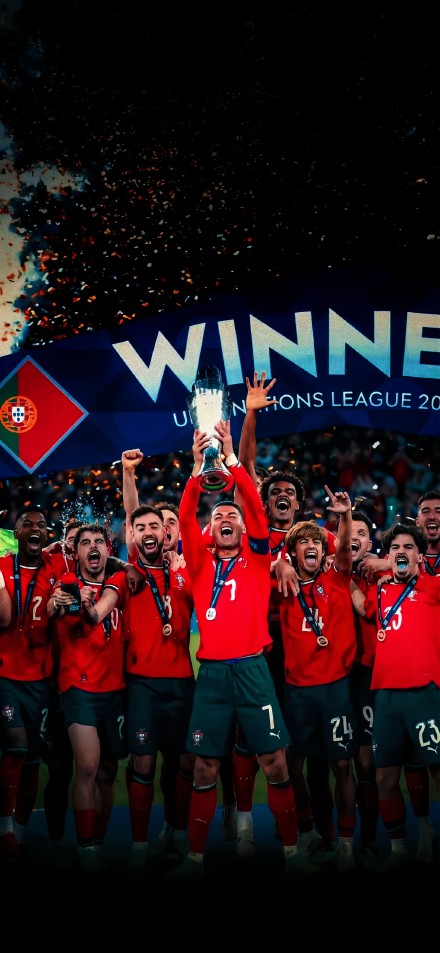 Portugal national football team players celebrate their victory