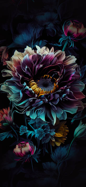 Fantastic flowers against a dark background