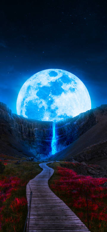 Wooden path in moonlit fantasy scene phone wallpaper