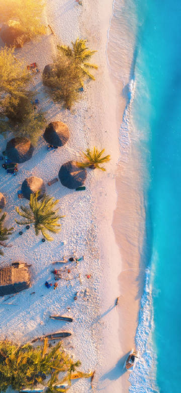 Overlooking a sun-drenched tropical beach phone wallpaper