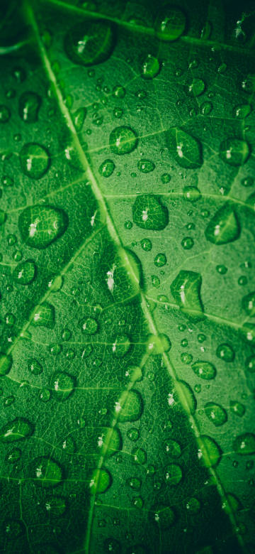 Latest Wallpaper 1