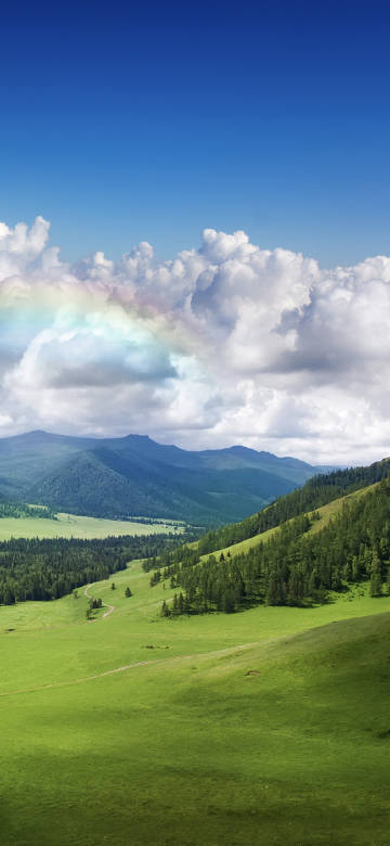 Green field rainbow scenery phone wallpaper