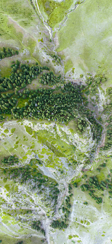 Meandering stream through green fields and forests phone wallpaper