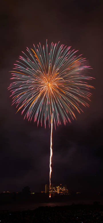 Amazing fireworks blooming moment mobile wallpaper