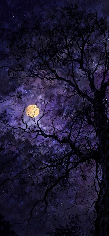 Full Moon Through Dark Branches Purple Night Sky