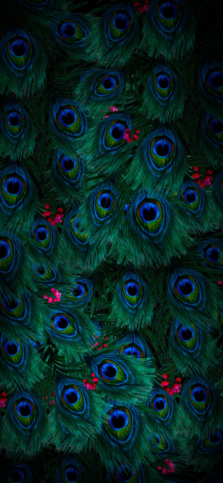 Dark green peacock feathers 4K phone wallpaper