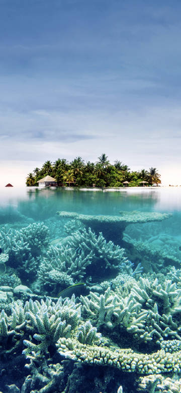 Island scenery wallpaper: beautiful island and underwater coral