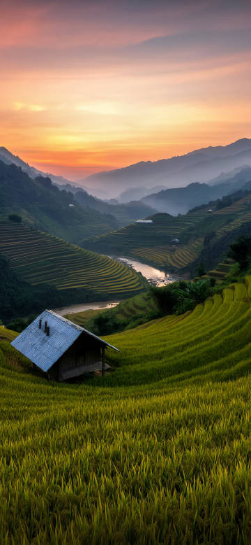 Tranquil terraced healing landscape at sunset phone wallpaper