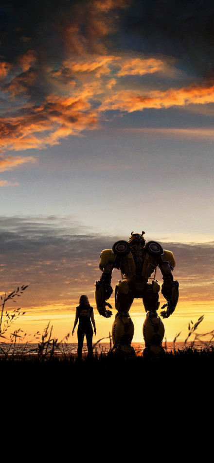 Bumblebee and Human: Companionship at Sunset