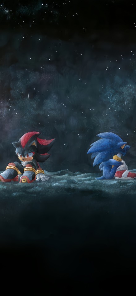 Sonic and Shadow Under Starry Sky Wallpaper