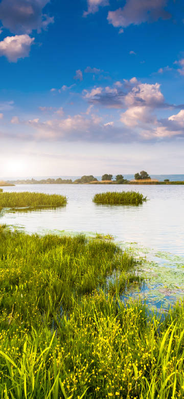 Natural scenery 5k phone wallpaper, blue sky, white clouds, lake, fresh