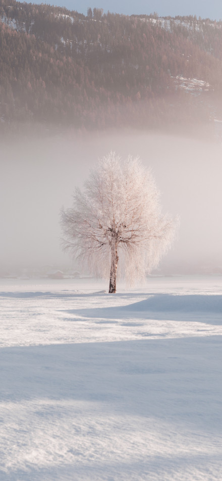 Winter snow scene phone wallpaper