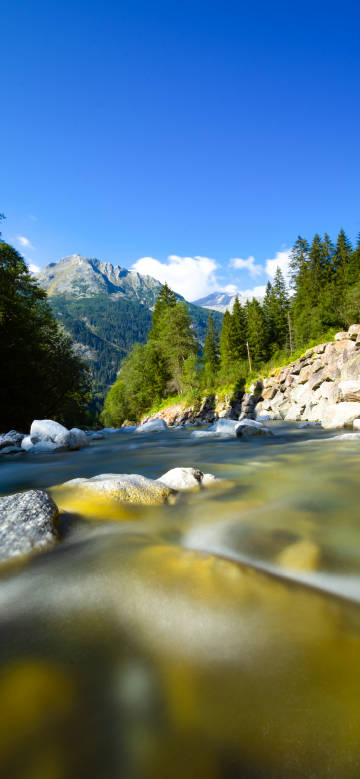 Stream and mountain forest scenery phone wallpaper