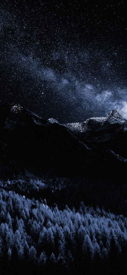 Magnificent forest and snow-capped mountains under the starry sky