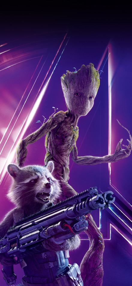 Guardians of the Galaxy: rocket raccoon and groot
