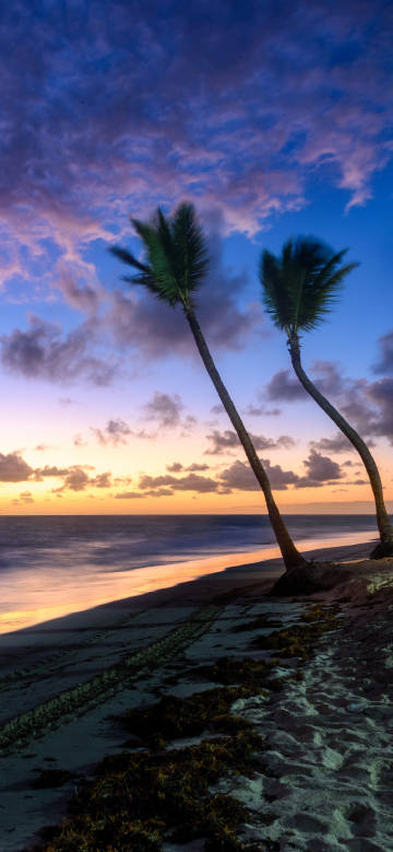 Seaside sunset scenery phone wallpaper