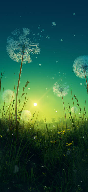 Dreamy Dandelion Field at Sunset 4K Wallpaper