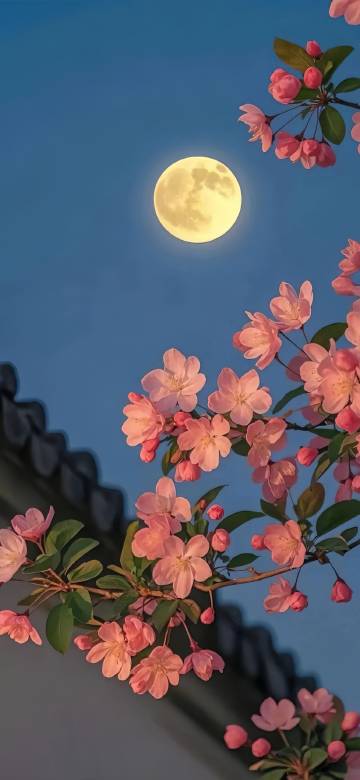 Pink Apple Blossoms Under A Yellow Full Moon 4K Wallpaper