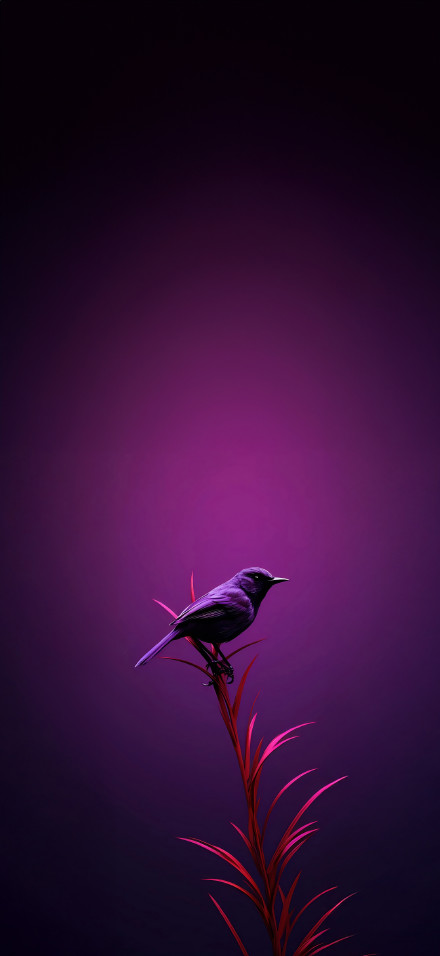 Bird Moments Of Quiet Reflection