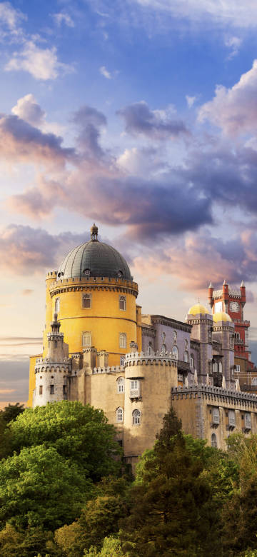 Colorful castle surrounded by green trees phone wallpaper