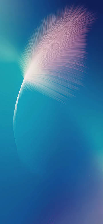 White feathers on blue background phone wallpaper