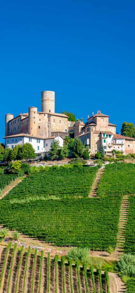 Castles and vineyards in Piedmont, Italy