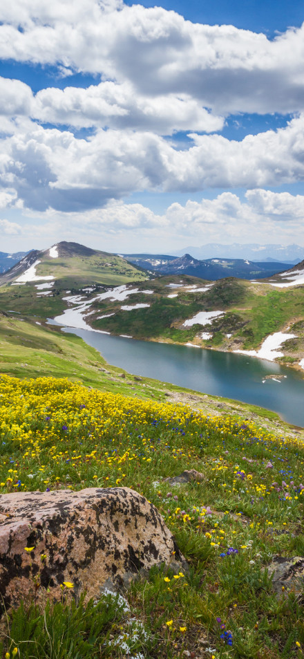 Alpine lake scenery wallpaper: wildflowers, snow and clear skies