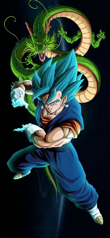 Shenron and Super Saiyan Blue Vegito Anime Poster