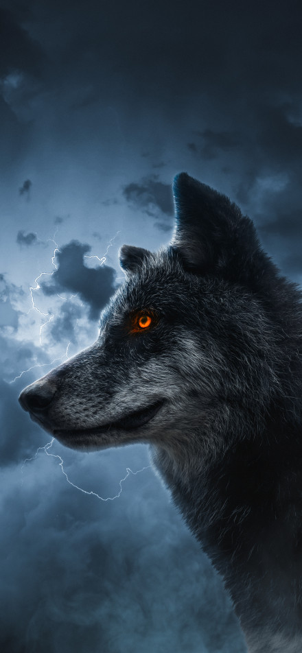 A wolf with orange eyes under dark clouds phone wallpaper