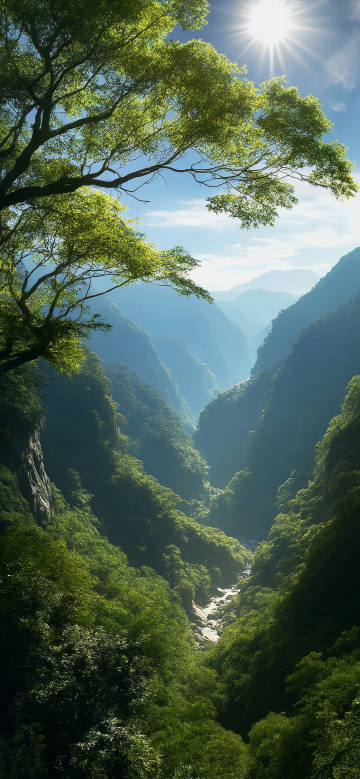 Beautiful scenery of mountain valley under sunlight phone wallpaper